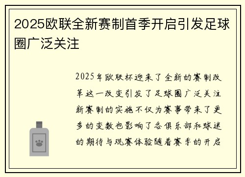 2025欧联全新赛制首季开启引发足球圈广泛关注