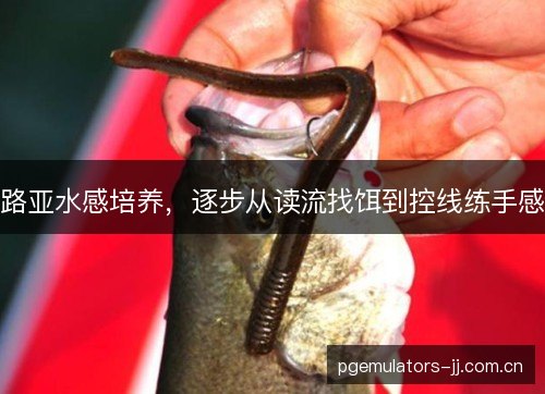 路亚水感培养，逐步从读流找饵到控线练手感